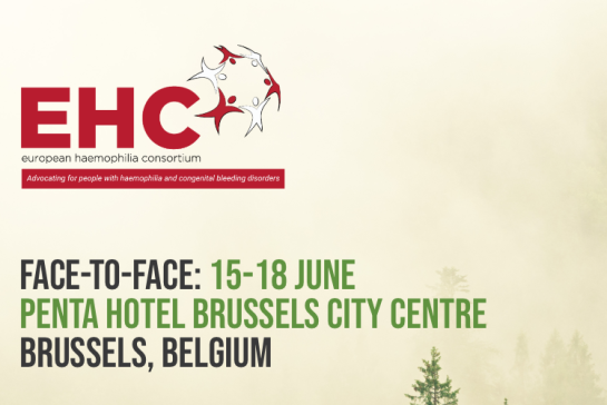 El Consorcio Europeo de Hemofilia celebra la conferencia anual de liderazgo 2023